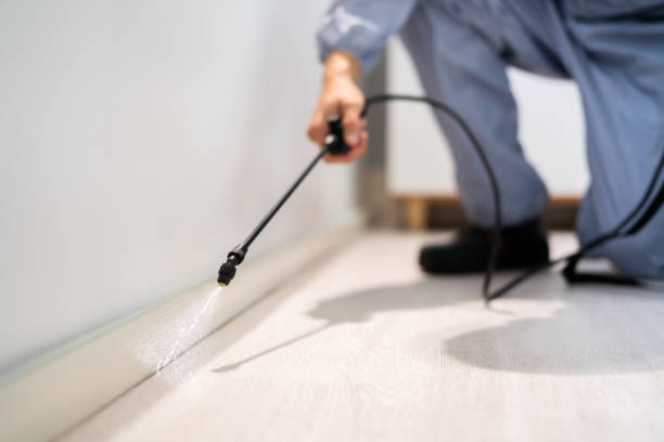 Bed Bug Pre-Treatment Preparation Assessment in Stewartville