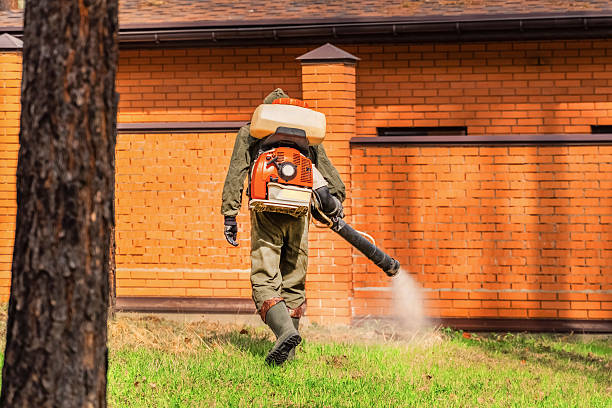 Bed Bug Clearance Verification and Documentation in Stewartville